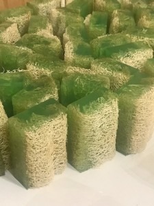 toplu kabak lifi sabunları